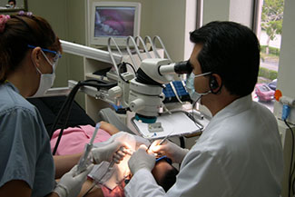 Dr. Cuomo practicing microscope enhanced precision dentistry